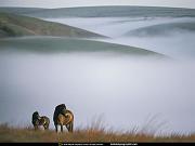 National Geographic Wallpapers 041_jpg